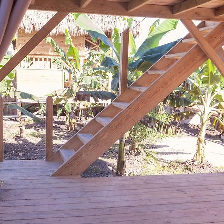 Samana Ecolodge El Limon Exteriér fotografie