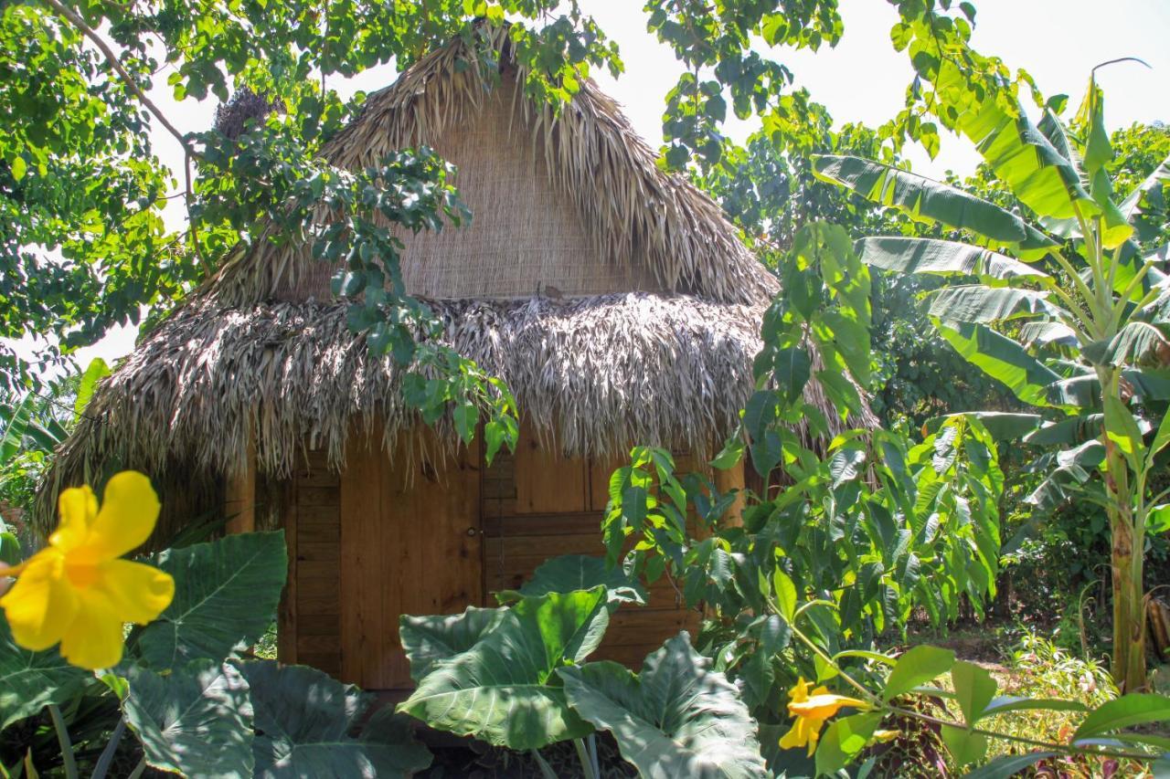 Samana Ecolodge El Limon Exteriér fotografie