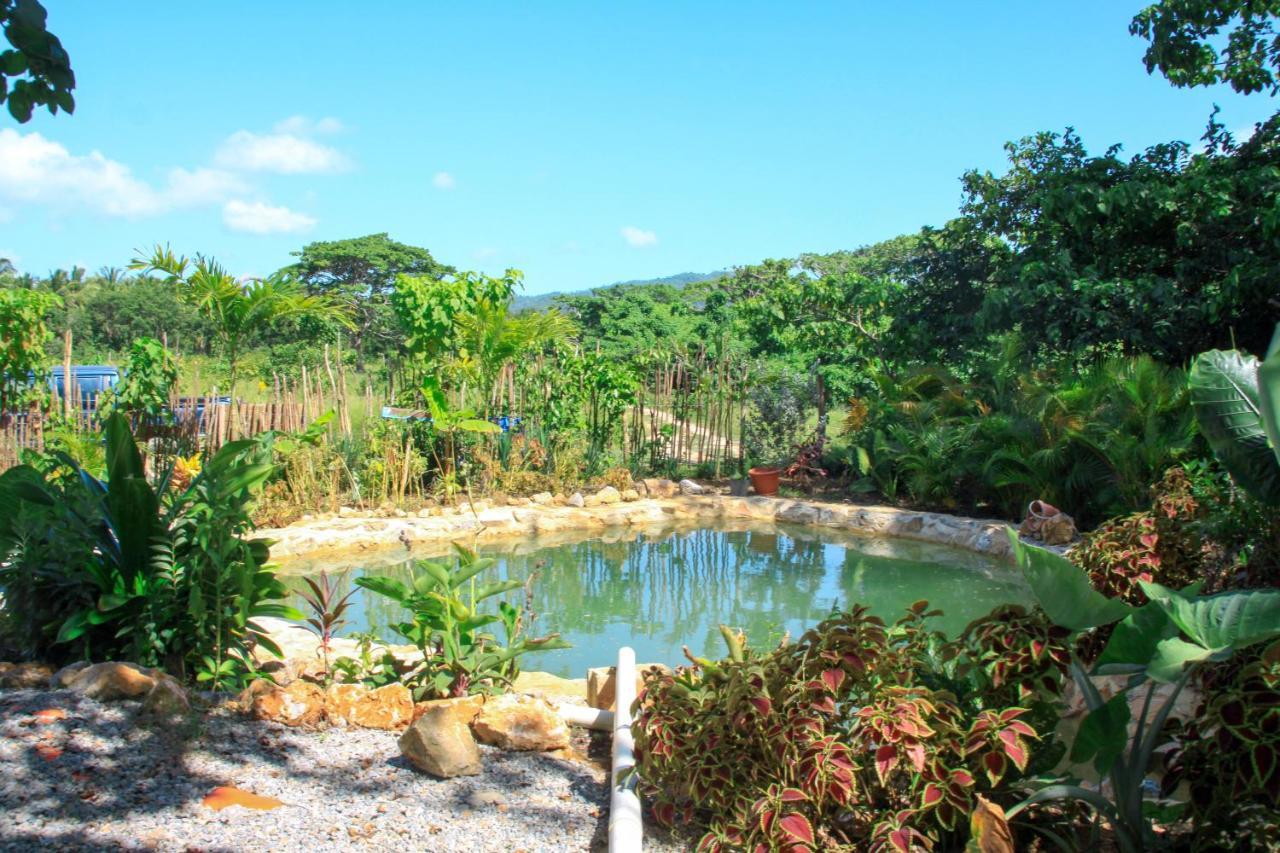 Samana Ecolodge El Limon Exteriér fotografie
