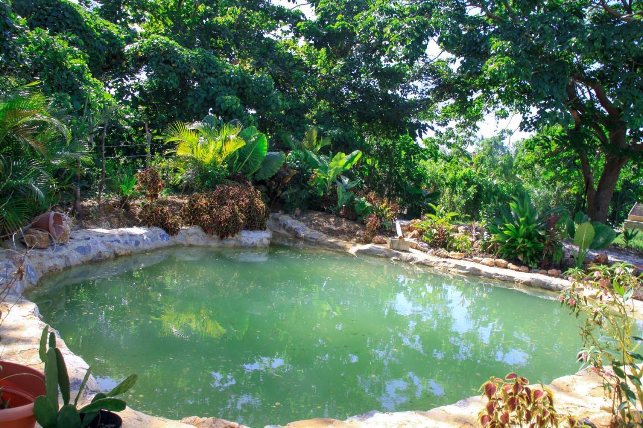 Samana Ecolodge El Limon Exteriér fotografie