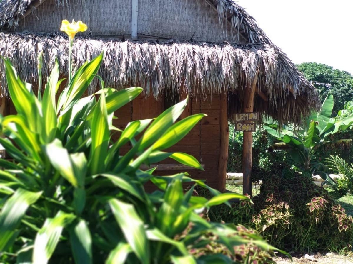 Samana Ecolodge El Limon Exteriér fotografie