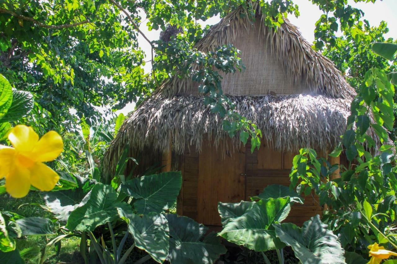 Samana Ecolodge El Limon Exteriér fotografie