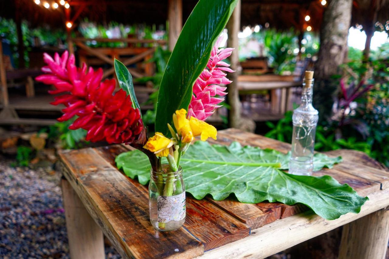 Samana Ecolodge El Limon Exteriér fotografie