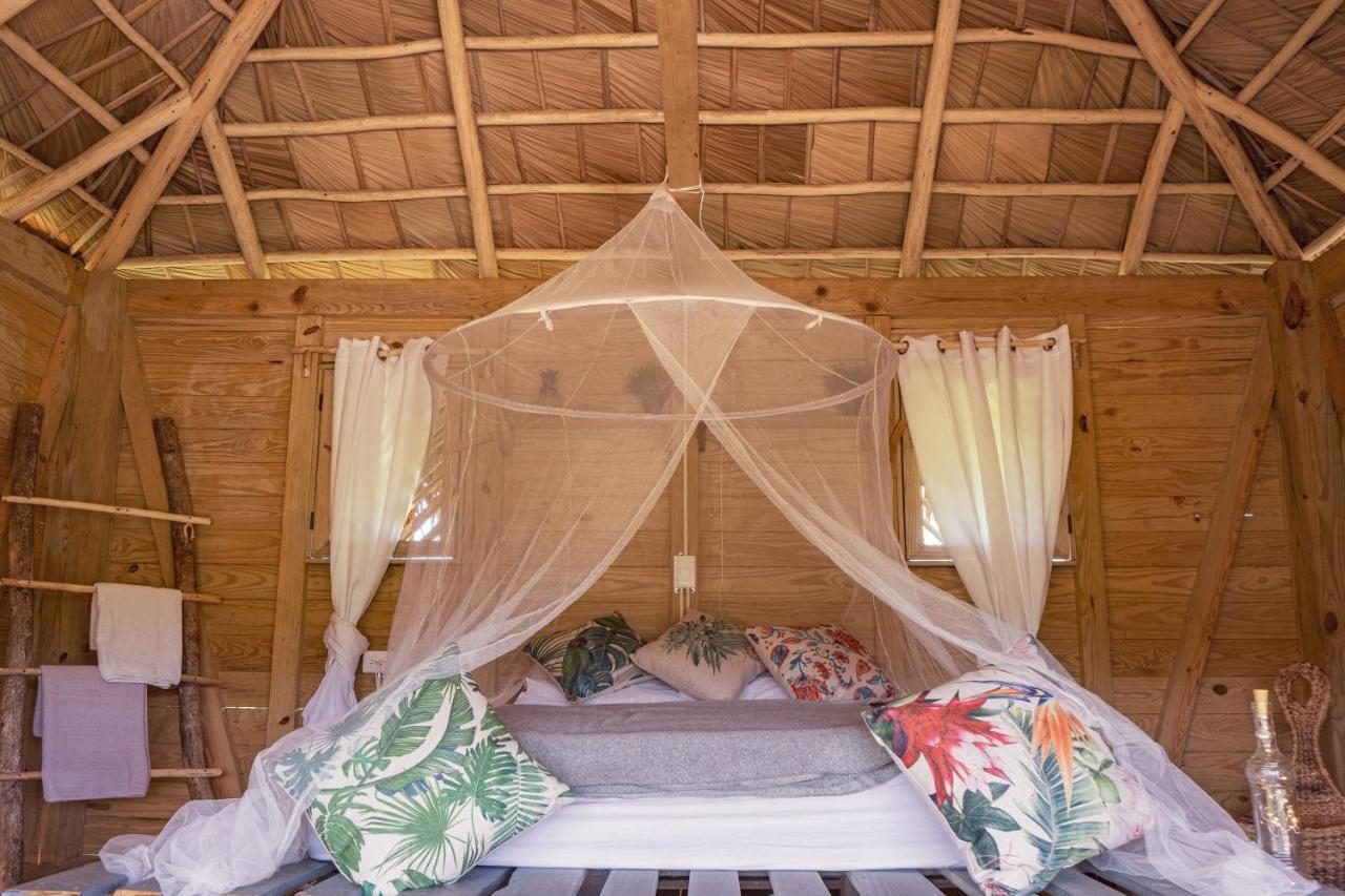 Samana Ecolodge El Limon Exteriér fotografie