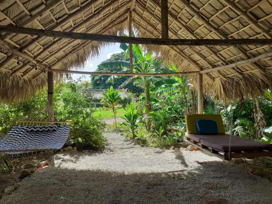 Samana Ecolodge El Limon Exteriér fotografie