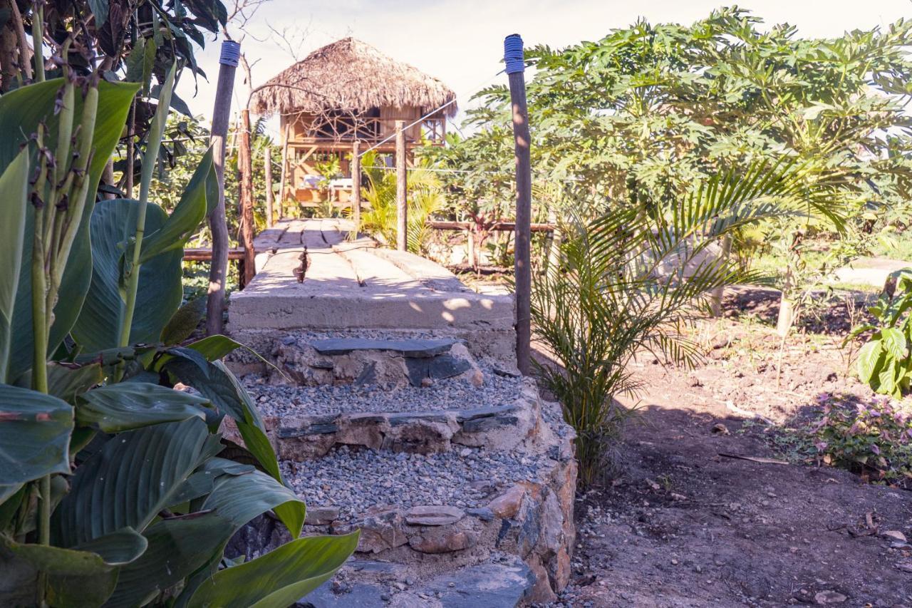 Samana Ecolodge El Limon Exteriér fotografie