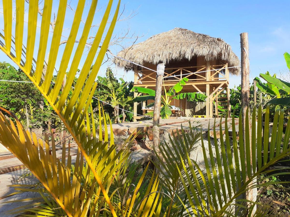 Samana Ecolodge El Limon Exteriér fotografie