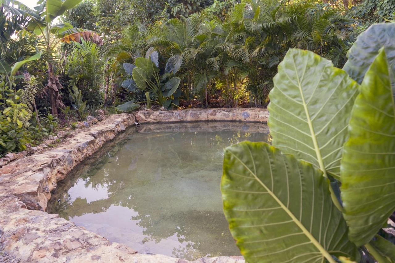 Samana Ecolodge El Limon Exteriér fotografie