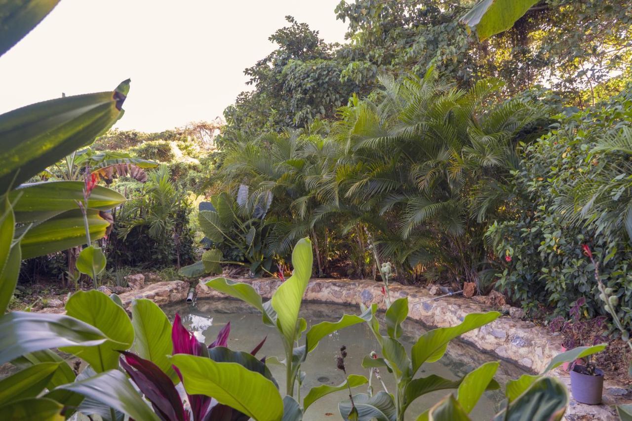Samana Ecolodge El Limon Exteriér fotografie